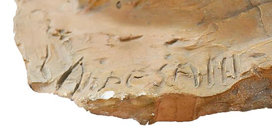 Lina Arpesani Firma