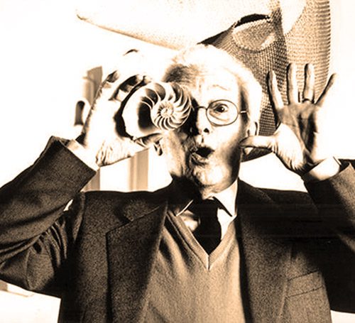 Bruno Munari Quotazioni