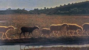 Giuseppe Pellizza da Volpedo Quadri