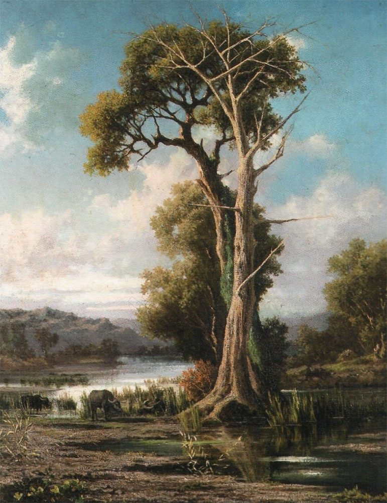 Achille Vertunni Opere